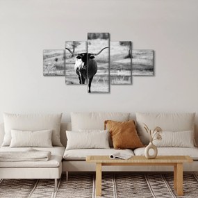 Obraz - Krowa, czarno - biała (125x70 cm)