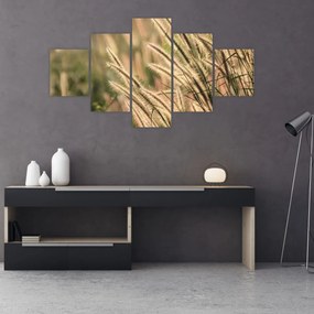 Obraz - Ziarno (125x70 cm)