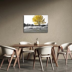Obraz - Odpoczynek w parku (70x50 cm)