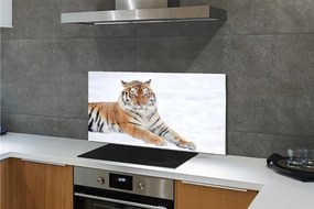Panel szklany do Kuchni Tygrys Syberyjski w Śniegu