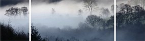 Obraz mgły nad lasem (170x50 cm)