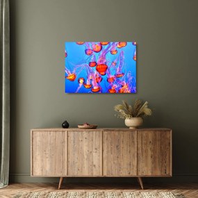 Obraz na szkle meduz w morzu (70x50 cm)