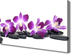 Zdjęcie na płótnie Orchidea w Klimacie Spa