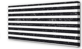 Obraz canvas na ścianę Motyw Zebry i Plam