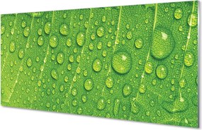 Szklany Panel Makro Detal Liścia z Rosą