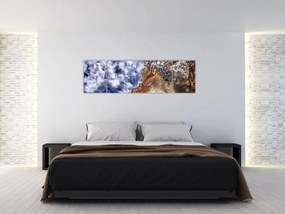 Obraz wilka (170x50 cm)