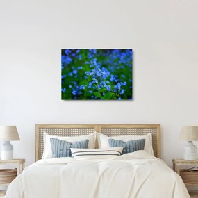 Obraz na szkle - niebieskie kwiaty (70x50 cm)