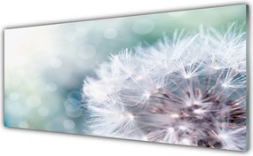 Szkło do Kuchni na Ścianę Puszysty Mniszek Lekarski