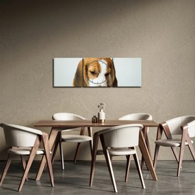 Obraz Beagle (z zegarem) (90x30 cm)
