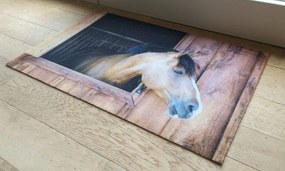 Wycieraczka Deco Star Konik 50 cm x 80 cm