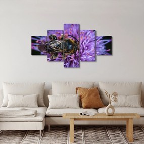 Obraz pszczoły na kwiatku (125x70 cm)