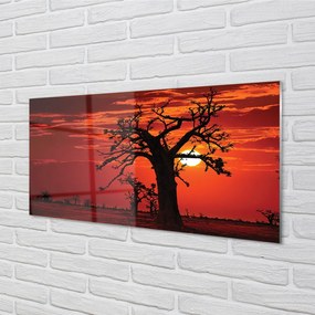 Szklany Panel Drzewa pod Zachmurzonym Niebem