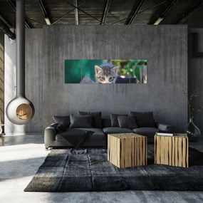 Obraz kotków (170x50 cm)
