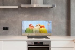 Panel Kuchenny Szklany Feeria Barw Tropikalnych Papug