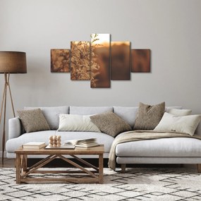 Obraz kwitnącej trawy (125x70 cm)