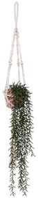 Sztuczne senecio Ali, 92 cm