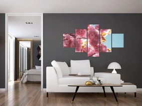 Obraz - Kwiat wiśni (125x70 cm)