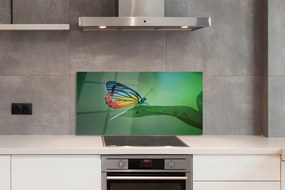 Panel nad Blat Kuchenny Motyl Odpoczywający na Liściu