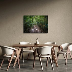 Obraz na szkle - Promienie słońca w dżungli (70x50 cm)