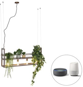Inteligentna lampa wisząca rdzawo-brązowa z półką, w tym 4 Wi-Fi A60 - Cage RackPrzemysłowy Oswietlenie wewnetrzne