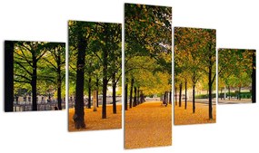 Obraz alei jesiennych drzew (125x70 cm)
