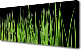 Fotoobraz na płótnie Naturalna Tekstura Trawy