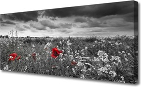 Obraz canvas na ścianę Sielska Polana Kwiatowa