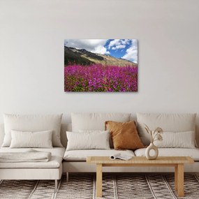 Obraz scenerii łąki górskiej (70x50 cm)