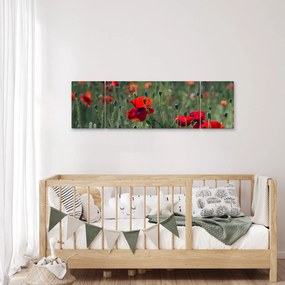 Obraz - Łąka z makami (170x50 cm)