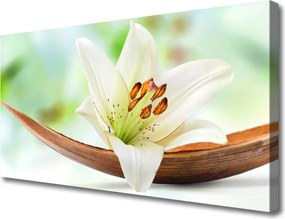 Fotoobraz na płótnie Subtelny Pąk Kwiatowy