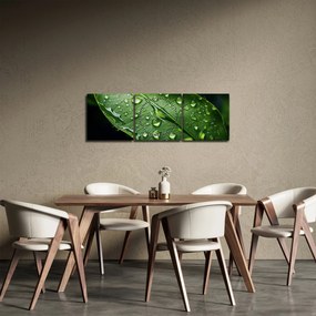 Obraz - Liść po deszczu (z zegarem) (90x30 cm)