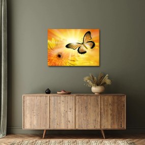 Obraz - Żółty motyl z kwiatkiem (70x50 cm)