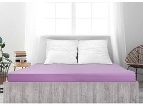 4Home prześcieradło jersey Ideal fioletowy, 180 x 200 cm, 180 x 200 cm