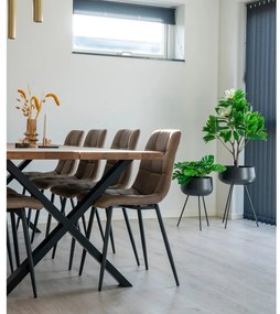 Jasnobrązowe krzesła zestaw 2 szt. Middelfart – Bonami Essentials