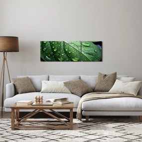 Obraz - Szczegół liścia po deszczu (z zegarem) (90x30 cm)