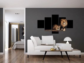Obraz - Lew i lwica (125x70 cm)