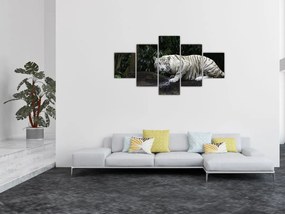 Obraz - Tygrys albinos (125x70 cm)