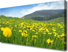 Zdjęcie na płótnie Polny Urok Mniszka