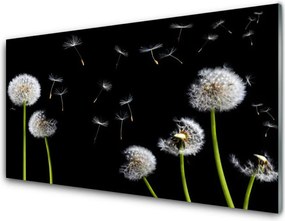 Szkło do Kuchni na Ścianę Puszysty Mniszek Lekarski