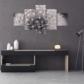 Obraz dmuchawca (125x70 cm)