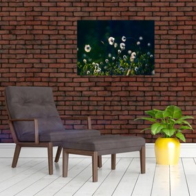 Obraz - Trawa (70x50 cm)