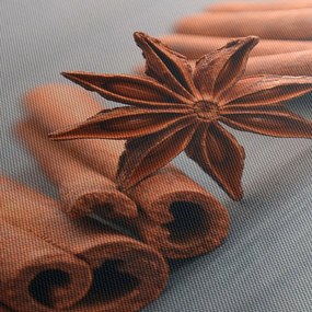 Obraz cynamonu (170x50 cm)