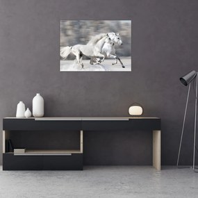 Obraz na szkle - Białe konie zimą (70x50 cm)