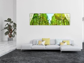 Obraz - Widok na las (170x50 cm)