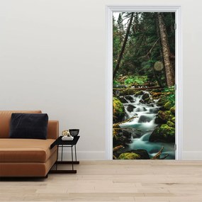 Fototapeta na drzwi - Strumień w lesie (95x205cm)