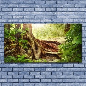 Obraz Szklany Drzewo Pień Natura Las