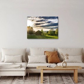 Obraz domku na łące (70x50 cm)