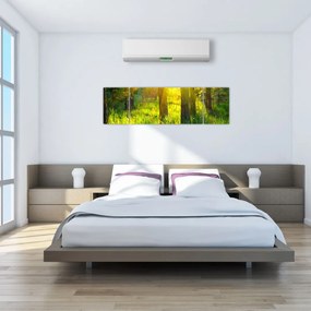 Obraz - Wiosenne przebudzenie lasu (170x50 cm)