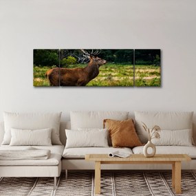 Obraz jelenia (170x50 cm)