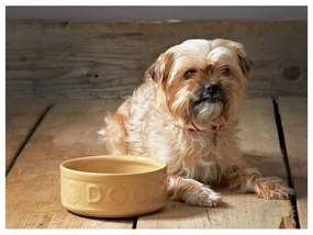 Kamionkowa miska dla psa Mason Cash Pet Cane Dog, ø 25 cm